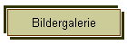 Bildergalerie